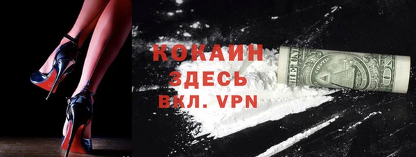 прущие грибы Карпинск