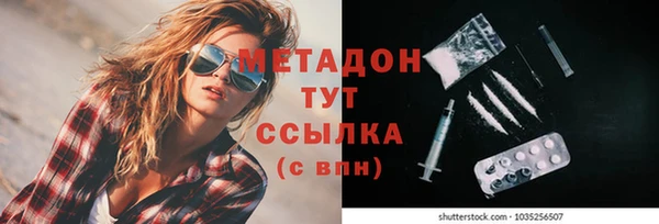 прущие грибы Карпинск