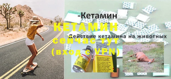 прущие грибы Карпинск