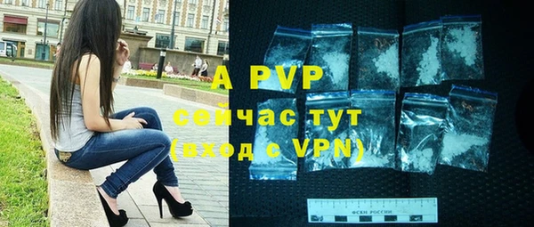 прущие грибы Карпинск