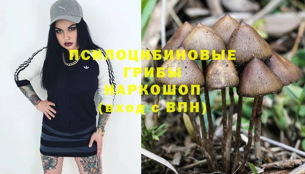 прущие грибы Карпинск
