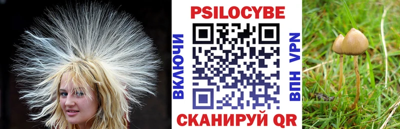 Галлюциногенные грибы мухоморы Купить закладки Снежинск