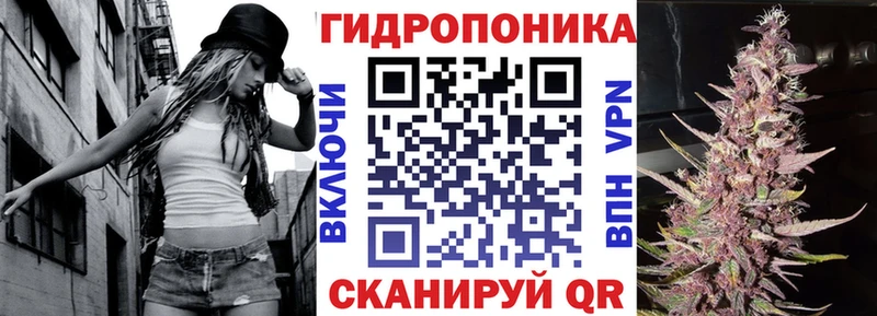 Купить где  Снежинск  Бошки Шишки гибрид 